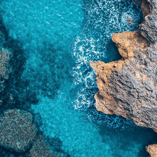 Stannum Can global logistics